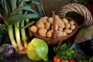 erntedank, gemüse, erntedankfest, ernte, kartoffeln, nahrung, dekoration, fest, landwirtschaft, herbst, erntedank, erntedank, erntedank, erntedank, erntedank, kartoffeln, kartoffeln
